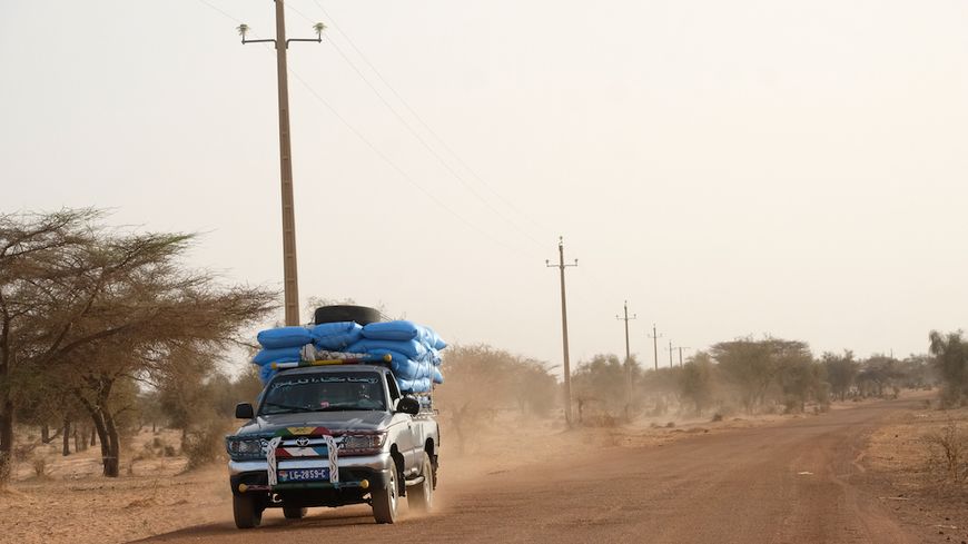 Dans le nord Sénégal, l'enjeu est aussi de diversifier les sortes d'arbres qui arrivent à vivre dans cette région désertique