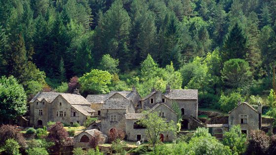 Dans les Cévennes, sur les traces de la femme des bois (image générique) ©Getty - Atlantide Phototravel