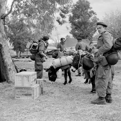 Soldats français en Algérie en 1954