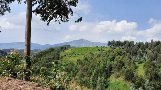 Les collines de Bisesero, où les Tutsis ont résisté pendant trois mois aux attaques des génocidaires en 1994. ©Radio France - Claude Guibal