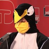 Le pingouin de Charline
