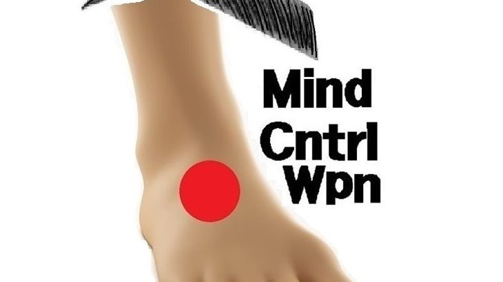 Logo "Mind Control Weapon" que Chip Chan a utilisé à maintes reprises sur ses différents blogs.