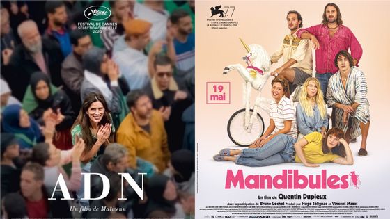 Affiches : "ADN" de Maïwenn et "Mandibules" de Quentin Dupieux - Le Pacte / Memento Distribution