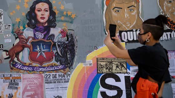 Une personne prend en photo un graffiti supportant l'élaboration d'une nouvelle Constitution. ©AFP - Martin Bernetti