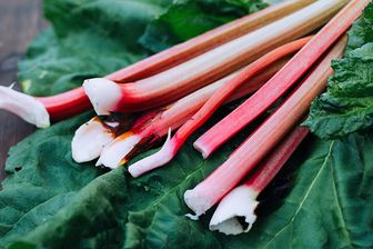 Rhubarbe Rhubarbe