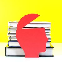 Les libertés académiques sont-elles menacées dans les universités anglo-saxonnes ?