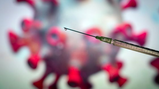 Course contre la montre entre la progression de la couverture vaccinale et l’évolution du virus Sars cov2. ©Getty - Picture alliance