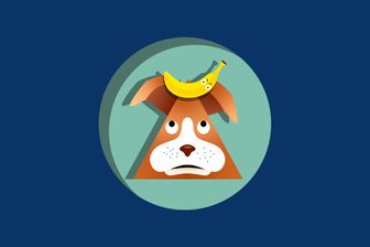 Messidor et les bananes de compagnie Messidor et les bananes de compagnie