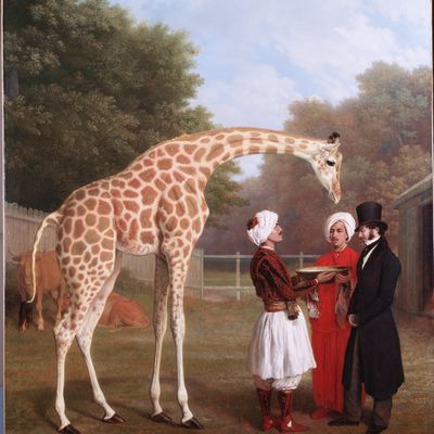 Jacques-Laurent Agasse (1767-1849) Girafe nubienne, 1827, Londres, The Royal Collection / © Royal Collection Trust / © Her Majesty Queen Elizabeth II 2020
