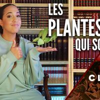 C l'monde Chica : quelles sont les plantes qui soignent ?