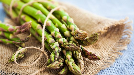 L'asperge ! ©Getty - Ekaterina Smirnova