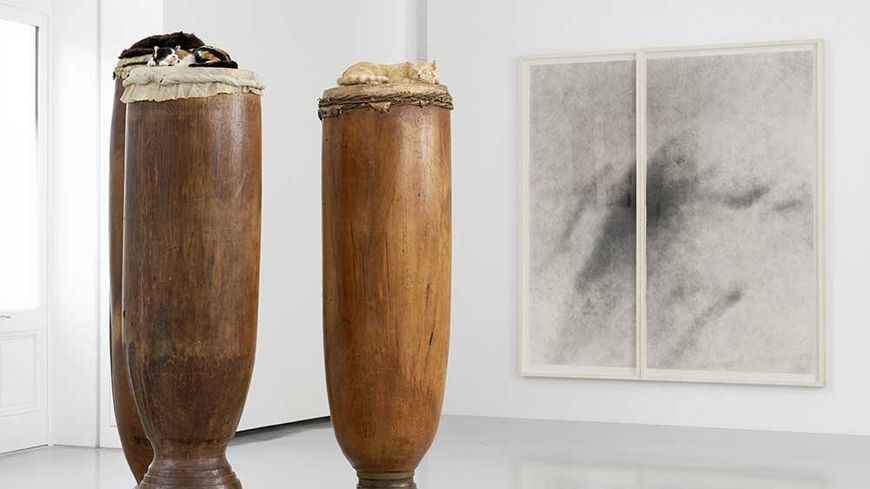 David Hammons, High Level Of Cats, 1998