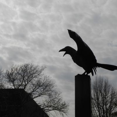 Statue de corbeau à l'avant de l’ancienne maison de l’écrivain Edgar Allan Poe, en souvenir de son poème « Le Corbeau », à Philadelphie aux États-Unis.