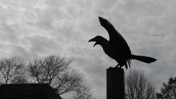 Statue de corbeau à l'avant de l’ancienne maison de l’écrivain Edgar Allan Poe, en souvenir de son poème « Le Corbeau », à Philadelphie aux États-Unis. ©Maxppp - Johannes Schmitt-Tegge/dpa