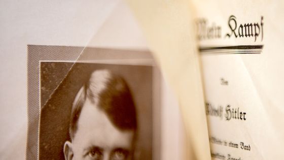 En Allemagne, Italie et Pologne, les rééditions de Mein Kampf avaient été autorisées dès que les droits étaient tombés dans le domaine public.