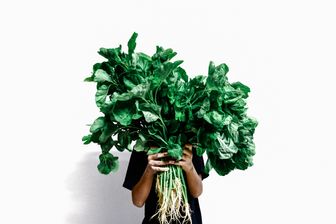 L'épinard : réhabilitation d'un légume qui a autant de groupies que d’ennemis. L'épinard : réhabilitation d'un légume qui a autant de groupies que d’ennemis.