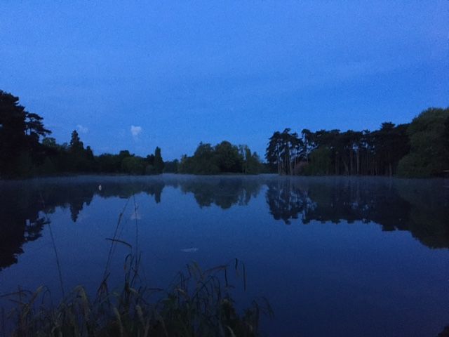 5h30, fin de parcours : le bois de Boulogne.