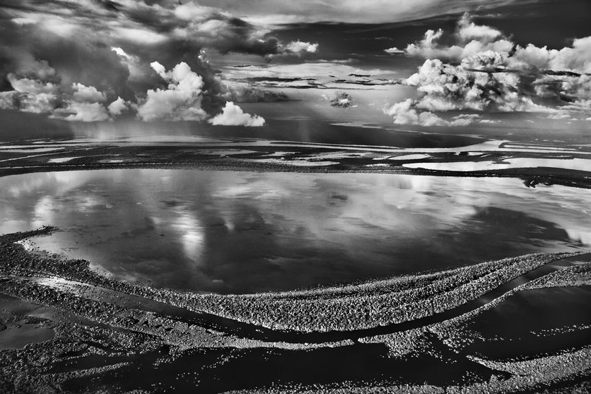 Les Anavilhanas, îles boisées du Río Negro, Etat d'Amazonas, Brésil, 2009