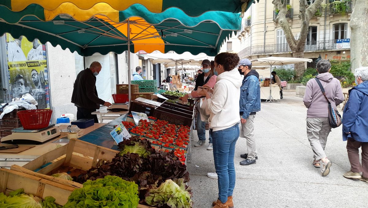 Photos Le Marche Hebdomadaire Du Samedi S Agrandit En Centre Ville D Avignon