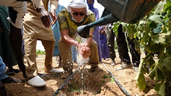 Partout où il passe, Haidar El Ali, le Monsieur grande muraille verte du Sénégal plante des arbres. ©Radio France - Nathanaël Charbonnier