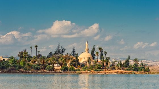 Illustration du livre de l’historienne de l’art, Sophie Makariou et le partage de l’Orient "Le partage de l'Orient" (Stock). Vue de la mosquée Hala Sultan Tekke sur le lac salé de Larnaca à Chypre. ©Getty - Allard Schager