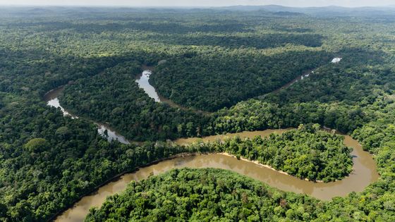 Vue aérienne de la rivière Mana dans la forêt amazonienne, Guyane française. ©AFP - © Jody Amiet