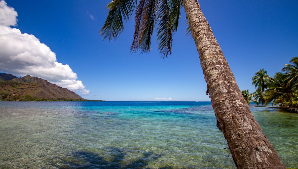 site rencontre tahiti papeete