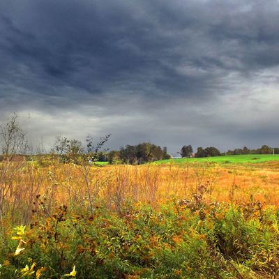 Prélude à l'automne