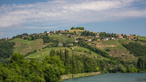 Les coteaux de Condrieu ©Getty