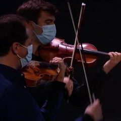Wolfgang Amadeus Mozart : Quatuor à cordes n° 14 en sol majeur K. 387 - IV. Molto allegro