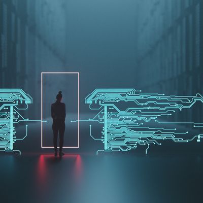 A l'heure du tout numérique, l'Estonie saisit l'opportunité de se démarquer dans le monde de la cybersécurité.