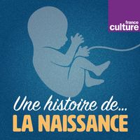 Une histoire de la naissance - René Frydman