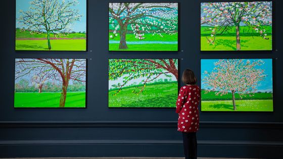 ‘David Hockney: The Arrival of Spring, Normandy, 2020’ at the Royal Academy of Arts, London, 23 May — 26 September 2021. Photography: © Royal Academy of Arts , London / David Parry. All works: © David Hockney