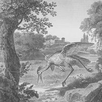 Illustration des "Fables" de La Fontaine par Emile Gouget, publiées par Lecointe et Pougin, 1834. Collection de la New York Public Library.