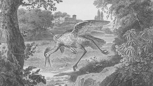 Moralité épicurienne dans les "Fables" de La Fontaine / La dictée : "La Peste" d'Albert Camus