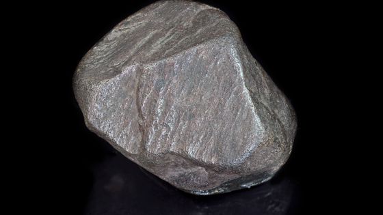 « La Truffe », diamant noir (330 ct) - Chapada Diamantina (Bahia, Brésil), vers 1849 - © MNHN / F. Farges