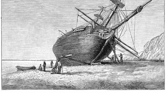 De l’observation des espèces comme les pinsons des Galapagos, où celle de la formation des atolls du Pacifique, qu’avait-il pu comprendre des lois qui régissent les processus évolutifs à échelle géologique et du vivant ? - Wikimedia Commons/Public Domain