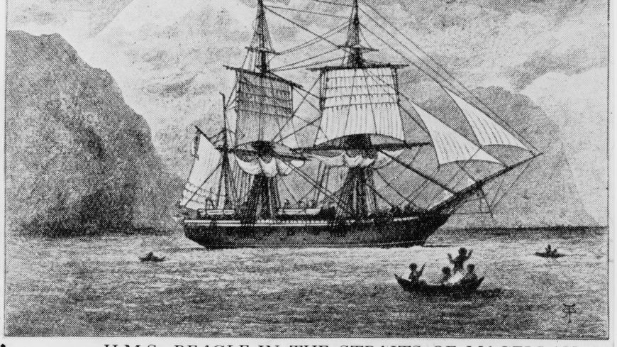 Gravure représentant le Beagle, navire de la Royal Navy sur lequel Darwin participa à une mission d'exploration sous le commandement du capitaine Robert FitzRoy, entre 1832 et 1836.