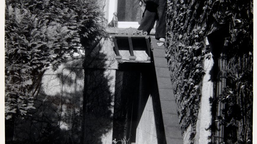 Mais...Le chemin des chats II, vers 1953