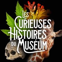 Podcast "Les Curieuses histoires du Muséum"