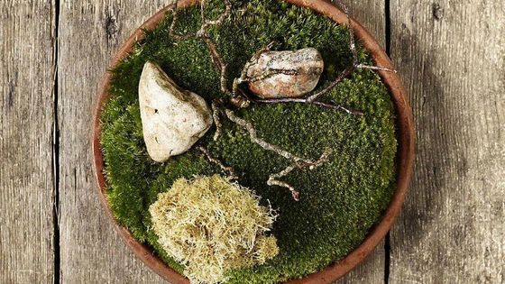 Le chef danois René Redzepi s'inspire de la musique de compositeurs d'aujourd'hui pour créer ses plats