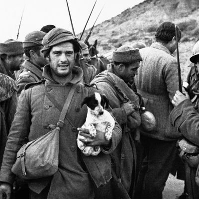 Ernest Hemingway (de dos) en compagnie de soldats républicains espagnols pendant la bataille de Terruel, sur le front d'Aragon, le 21 décembre 1937