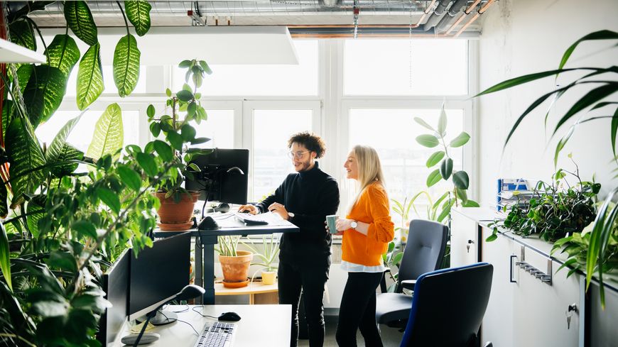 Parmi les évolutions du bureau, espace de travail, davantage de salles de réunion et de lieux collectifs que de postes individuels, une nature plus présente et une identité marquée de l'entreprise par des couleurs par exemple.