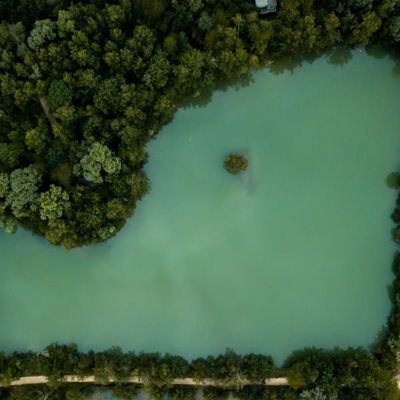 Coucoo, la réserve où se tiendra le concert sur l'eau du Festival des Forêts