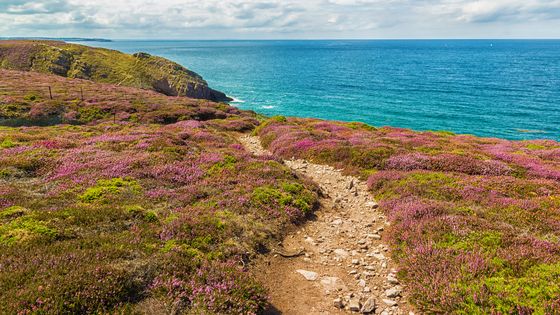C'est tout naturel - France Bleu Armorique