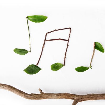 Musique et nature : un nouveau magazine en ligne