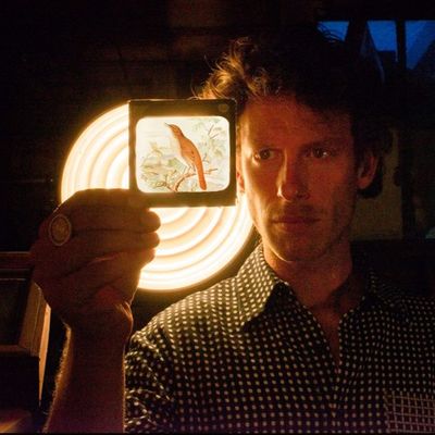 Sam Lee, chanteur de folk britannique et activiste écologique, organise des concerts avec musiciens et rossignols dans les forêts du Sussex