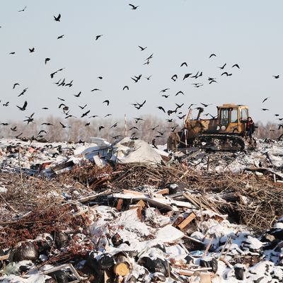 Le modèle de l’économie linéaire a permis un développement industriel et une croissance sans précédents, au détriment des ressources naturelles.
