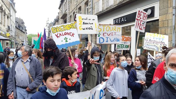 "Breton, langue officielle", "Sauvons nos écoles en langues régionales", plusieurs milliers de manifestants ont défilé dans toute la France samedi 29 mai contre l'avis du Conseil Constitutionnel qui censure l'enseignement en langue régionale. ©Radio France - Cécile de Kervasdoué