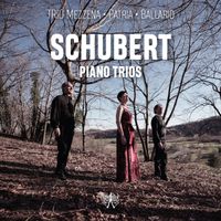 Trio avec piano en Mi bémol Maj op 100 D 929 : 4. Allegro moderato
